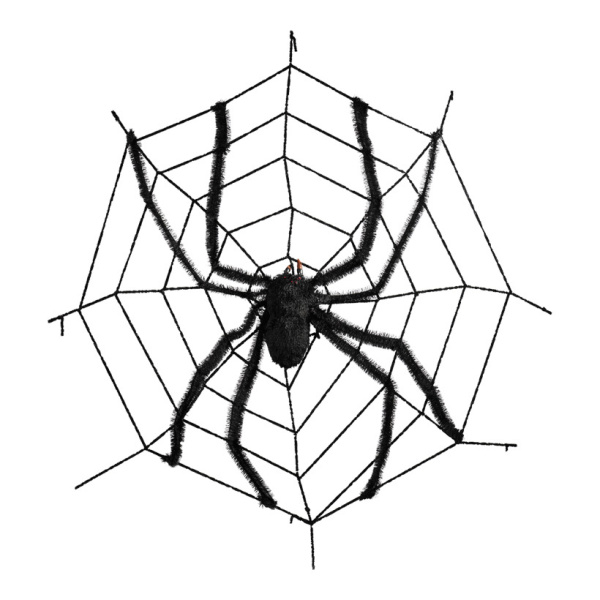Spinnweben-Zubehör