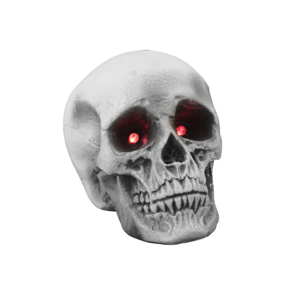 Knochen-Skelette