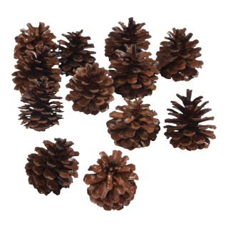 Fir cones 12pcs./bag - Material: real cones - Color: brown - Size: Ø 6cm