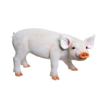 Pig, standing polyresin, for in- and outdoor     Size:...