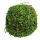 Holzflechtkugel mit Wasserlinsen     Groesse: Ø 20cm    Farbe: grün/braun