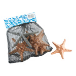 Starfish 6pcs./net, assorted, natural material     Size:...