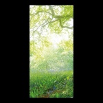 Motif imprimé "Arbre Vert" tissu  Color: vert/blanc Size: 180x90cm