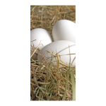 Motivdruck "Eier im Heunest" aus Stoff   Info:...