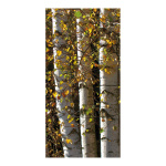 Banner "Birch Trunks" fabric - Material:  -...