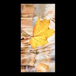 Motivdruck "Herbstblatt" aus Stoff   Info:...