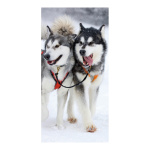 Banner "Huskies" fabric - Material:  - Color:...