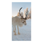 Banner "Reindeer" paper - Material:  - Color:...