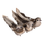 Sparrows with clip with feathers natural - Material: set...
