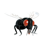 Fly made of styrofoam - Material:  - Color: red/black -...