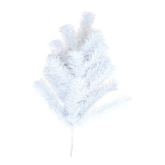 Noble fir twig 16 tips - Material:  - Color: white -...