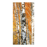 Banner "Birch Forest" fabric - Material:  -...