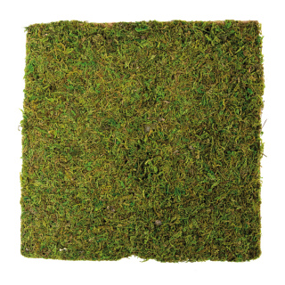 Moosplatte Naturmoos, mit Papierunterlage     Groesse: 30x30cm    Farbe: natur