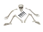 EUROPALMS Halloween Skeleton, multipart