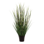 Mix Bambou-herbe doigneau dans le pot     Taille: 86 cm...