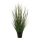 Bambus-Zwiebelgras-Mix im Topf     Groesse: 86cm    Farbe: grün     #