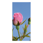 Banner "Pink Rose" paper - Material:  - Color:...