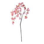 Branche de cerisier en fleur      Taille: 90cm    Color:...