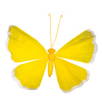 Papillon Cadre fil de fer avec papier     Taille: 90 cm...