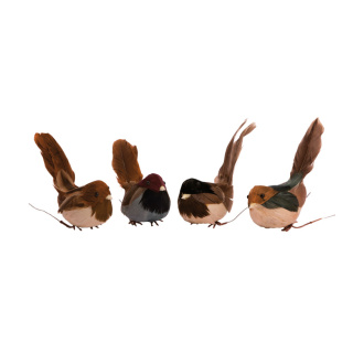 Oiseaux assorti de12 pcs 4 couleurs différentes Color: brun Size: 8cm