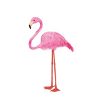 Flamingo head up, with feathers     Size: 38x12,5x43cm...
