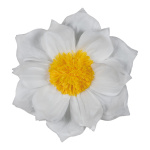 Paper flower with hanger     Size: Ø60cm    Color:...