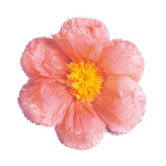 Fleur en papier avec suspension  Color: rose Size:...