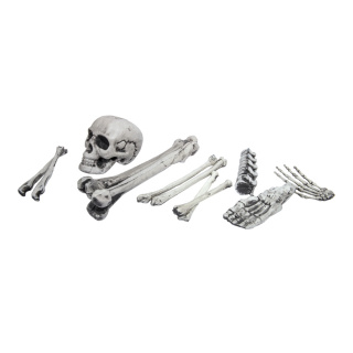 Set of bones in net - Material: 12-parted - Color: white - Size: 40cm