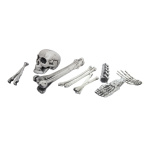 Set of bones in net - Material: 12-parted - Color: white...