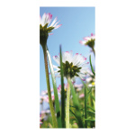 Banner "Daisies" fabric - Material:  - Color:...