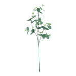 Branche deucalyptus artificiel     Taille: 76cm    Color:...