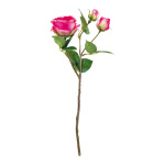 Rose 3-fold - Material: one flower head & two buds -...