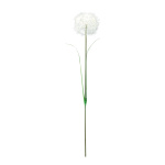 Dandelion artificial     Size: H: 100cm, Ø: 20cm...