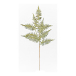 Fern twig glittered - Material: made of plastic - Color:...