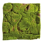 Moss mat made of plastic and felt     Size: 50x50cm...
