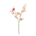 Branche de fleur de cerisier      Taille: H: 85cm...
