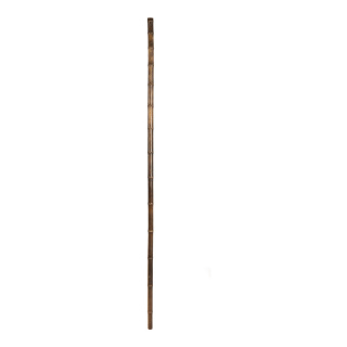canne de bambou Matériau naturel  Color: brun Size: 240cm X Ø 40mm
