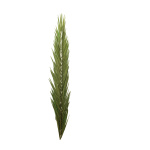 Palm leave dried, tinned natural material     Size: 120cm...