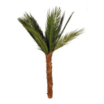 areca palm tree dried, tinned natural material     Size:...