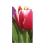 Motif imprimé "Tulipe" papier  Color:...
