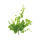 Branche de vigne en plastique     Taille: 70cm    Color: vert