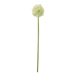 Allium  en plastique Color: vert/blanc Size: 76cm X...