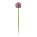 Allium  - Material: out of plastic - Color: green/purple...