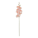 Orchidée  en plastique/soie artificielle Color:...