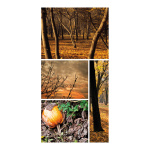 Banner "Autumn forest collage" paper -...