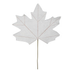 Maple leaf  - Material: out of paper - Color: white -...