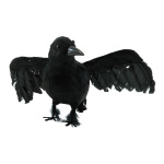 Corbeau en polystyrène/plumes, avec ailes...