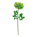 Rose  soie artificielle Color: vert Size: Ø 37cm X...