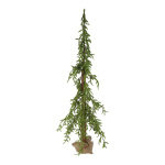 Fir tree "spruce" 622 tips - Material: out of...