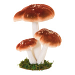 Group of forest mushrooms 3-fold - Material: out of...